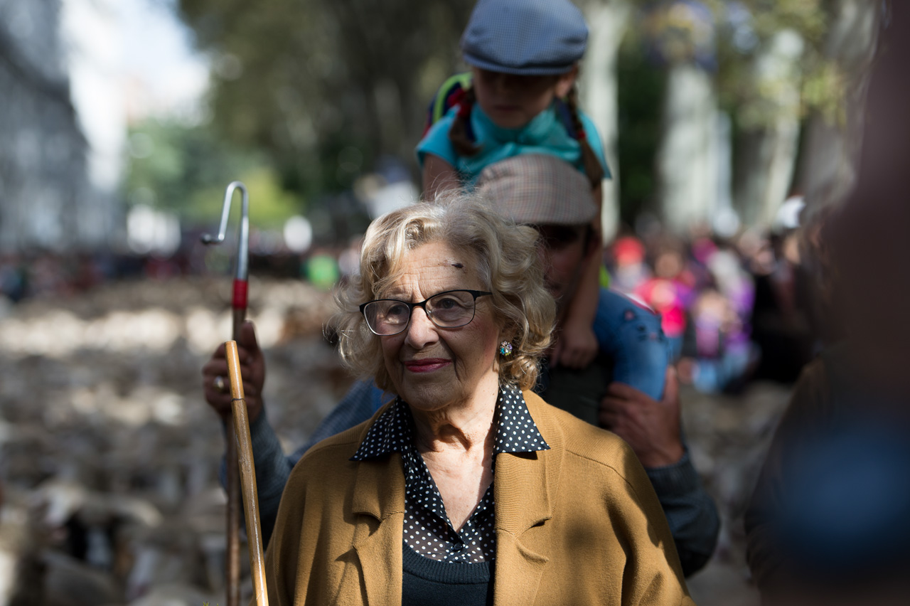 La alcaldesa de Madrid Manuela Carmena durante el recorrido de las ovejas por las calles de la capital española