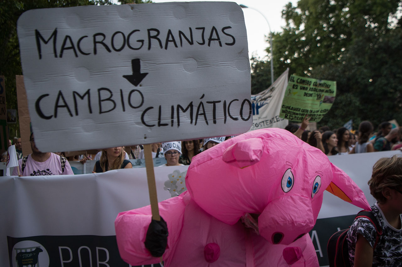 Cambio Climático