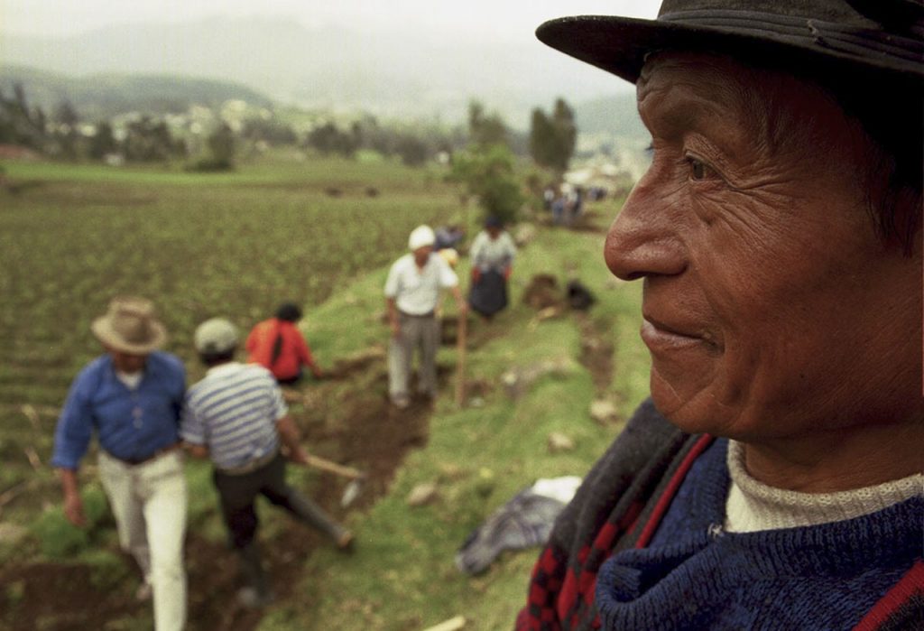 Siembra Zona Andina