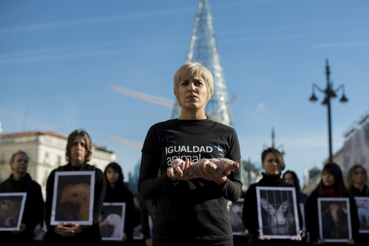 Activistas protestan en la Puerta del Sol por los derechos de los animales.