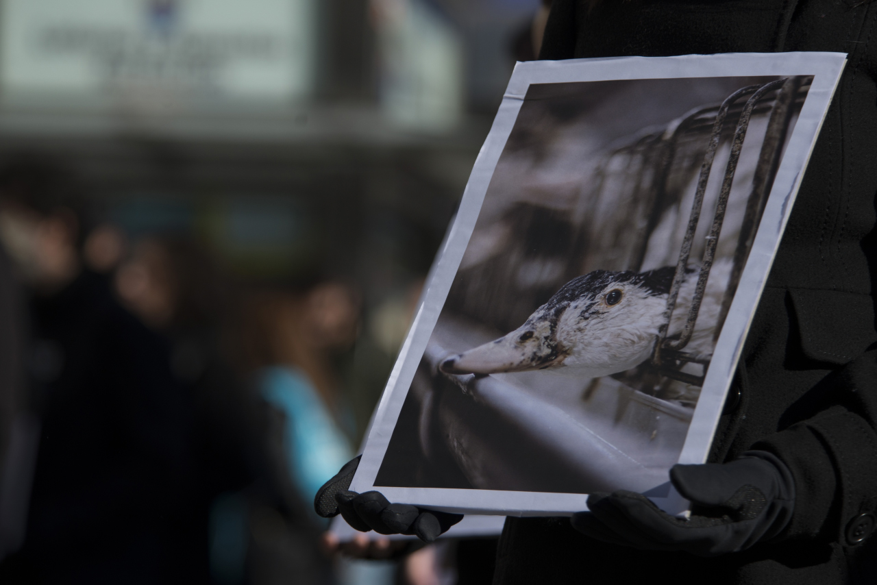 Activistas protestan en la Puerta del Sol por los derechos de los animales.