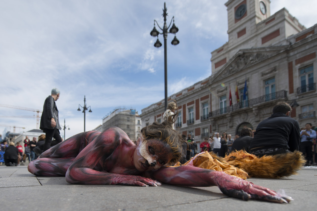 Activistas animalista protestan por el derecho de los animales.