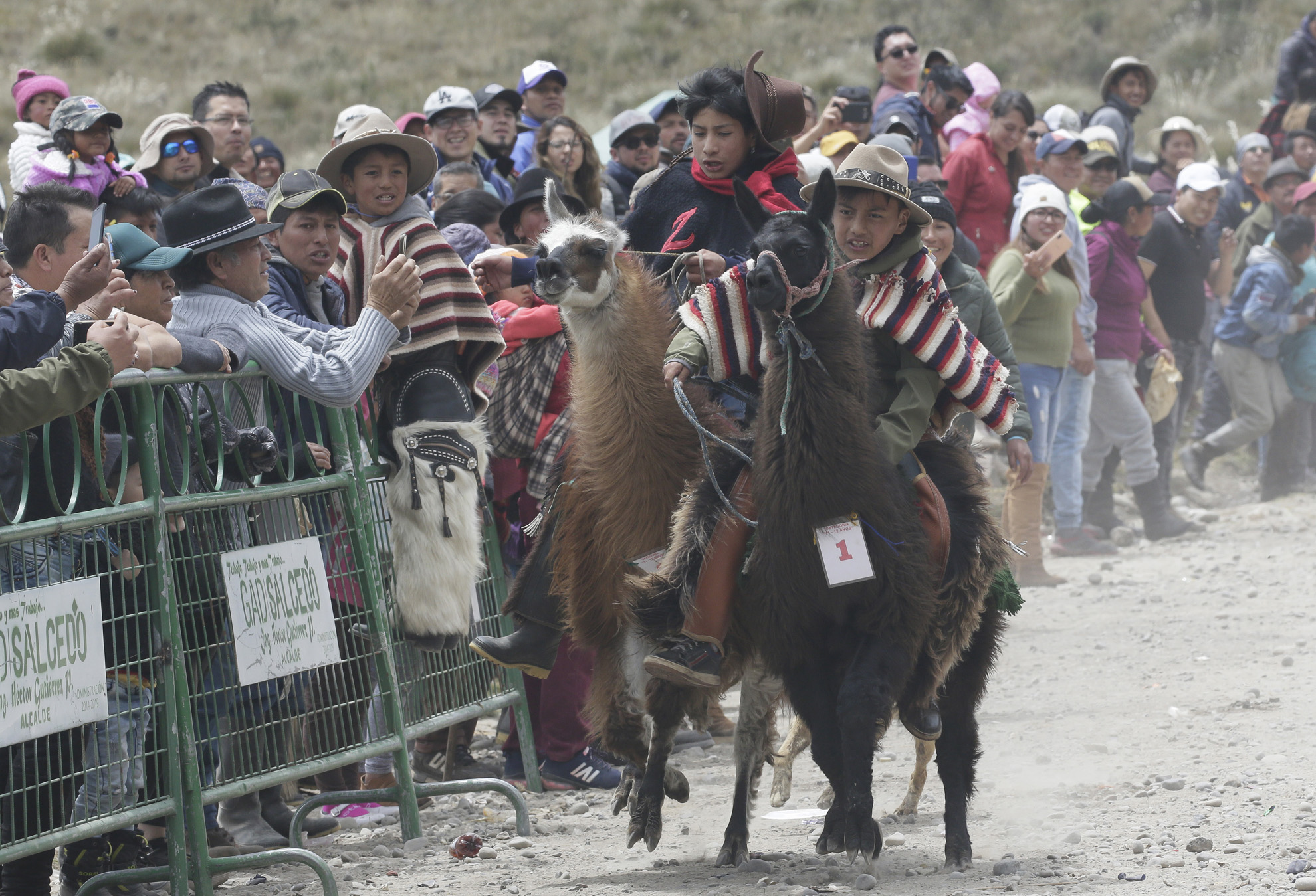 Los jinetes de la Carrera de Llamas dominan a la perfección a los llamingos.