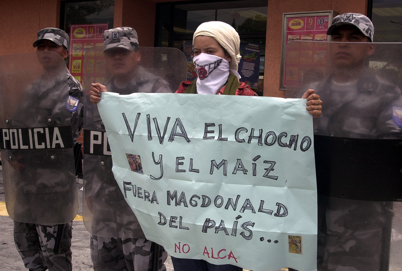 El levantamiento indígena del 90 lanzó a la palestra el derecho de la Soberanía Alimentaria, la lucha contra los acuerdo sobre el ALCA fueron otra forma de protesta contra el neoliberalismo implementado por los grupos económicos.