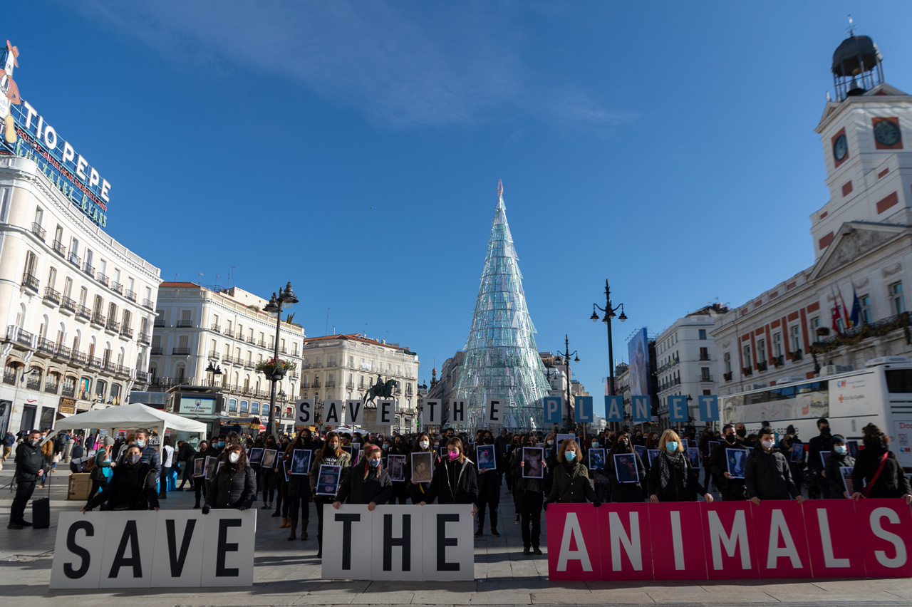"SAVE THE ANIMALS" es el reclamo de activistas que han conmemorado el Día Internacional de los Derechos de los Animales