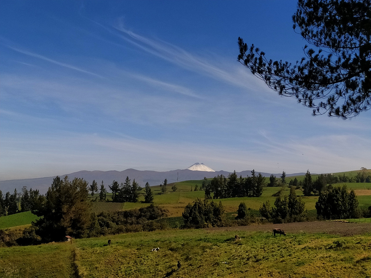 Es un placer el observar los volcanes y las montañas que rodean a Píllaro.