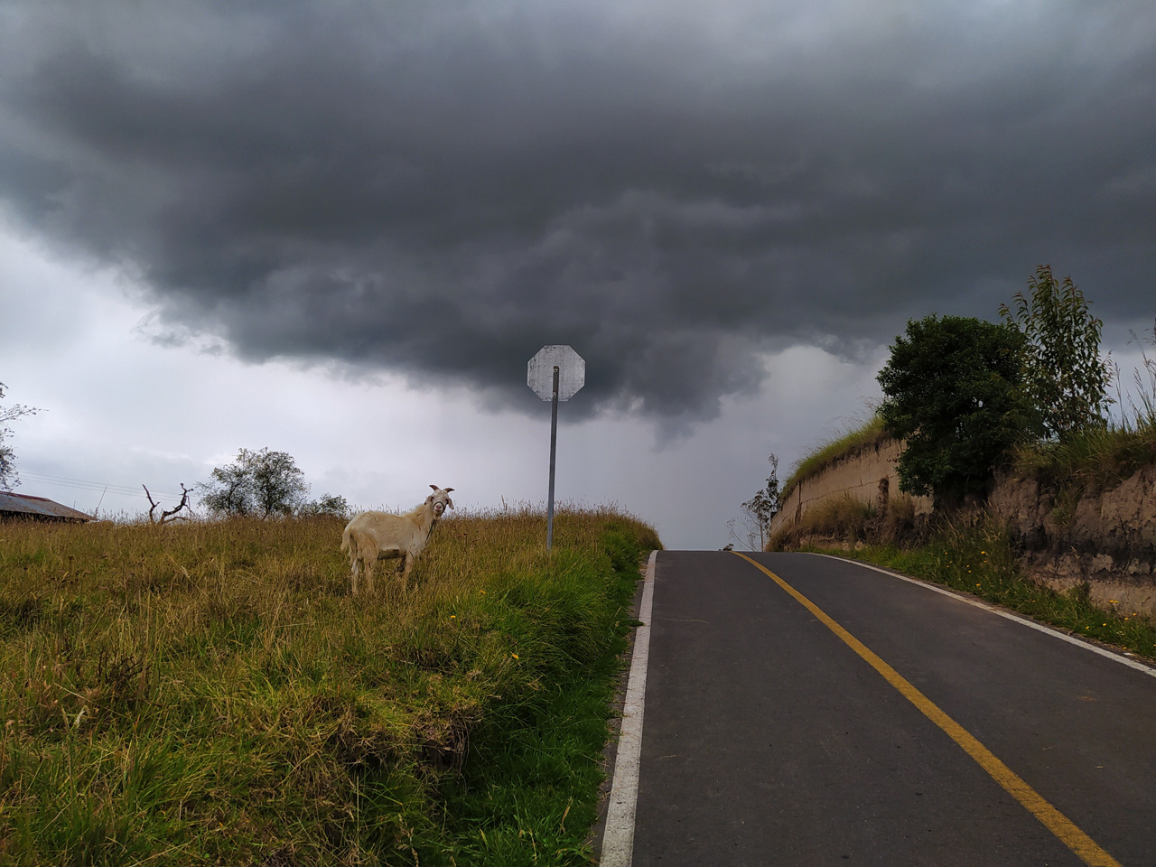 Un cabra durante el recorrido familiar y las nubes contrastan con la luz en el pueblo.