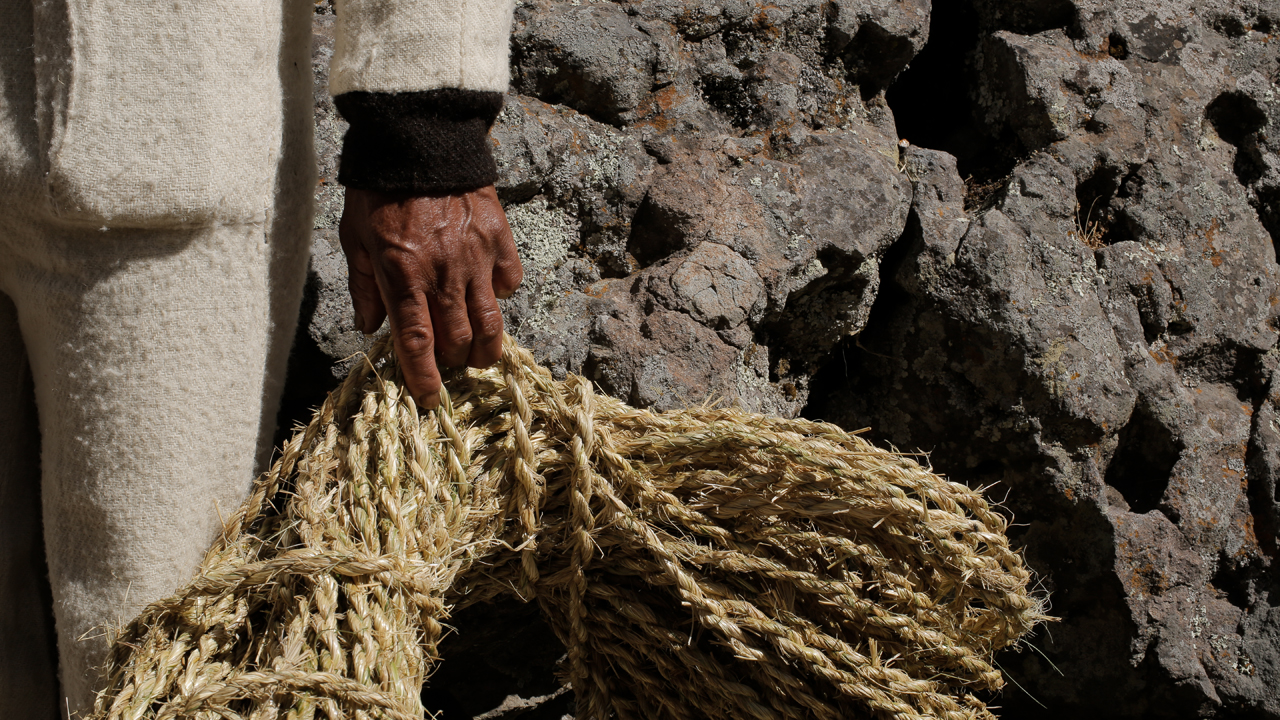 Este legado inca, tiene más de 6 siglos de antigüedad, gracias a que cada año lo preservan las comunidades indígenas. Huinchiri, Chaupibanda, Qollana Quehue y Chocayhua.