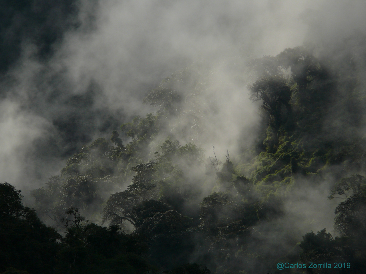 mineria en ecuador lasso