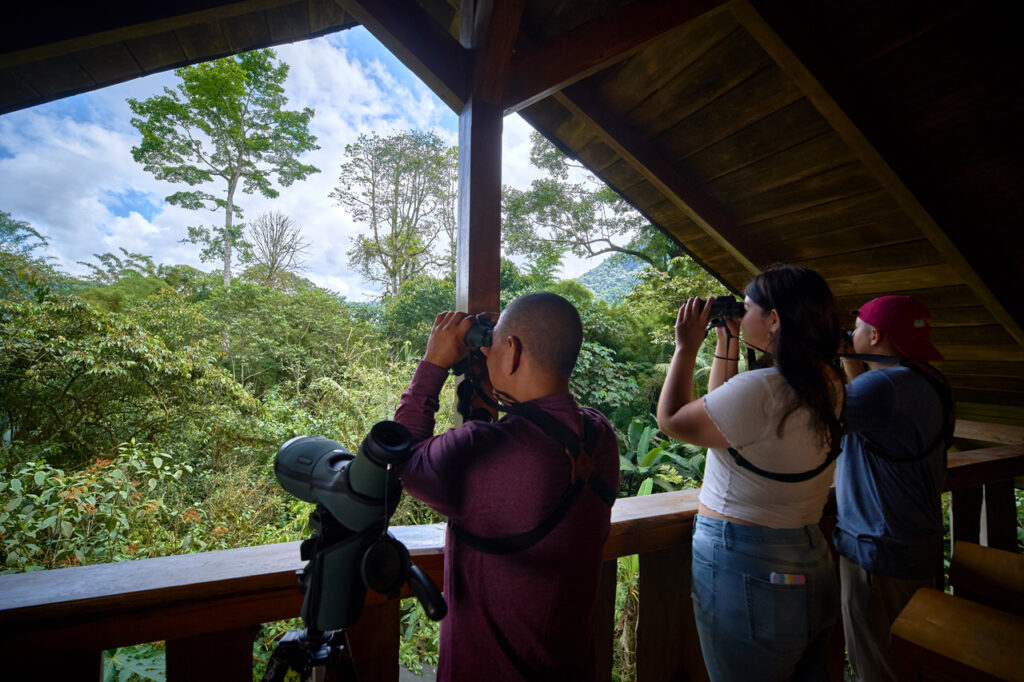 Mirador de aves en Casa Divina