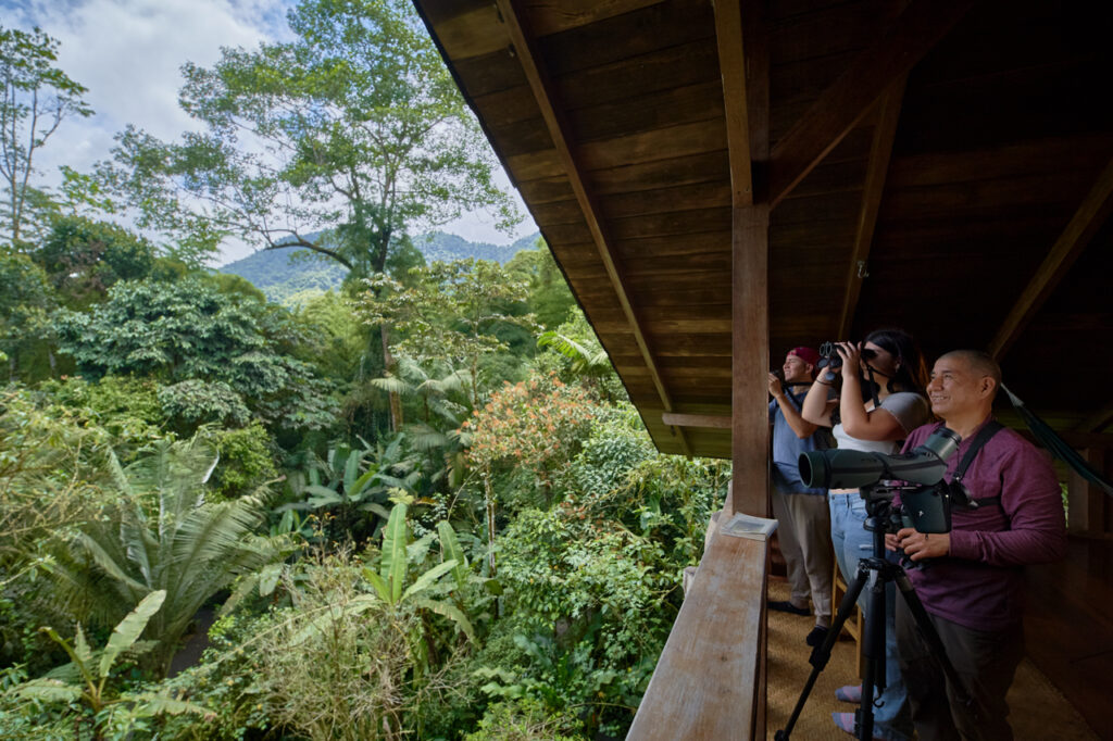 Mirador de aves en Casa Divina