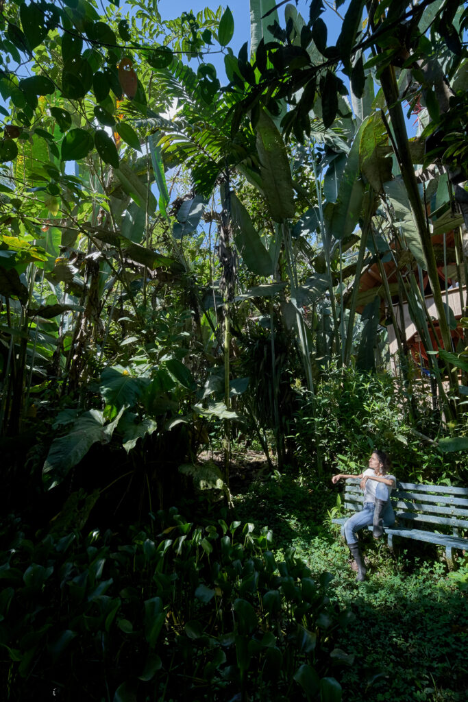 Mirador de Casa Divina