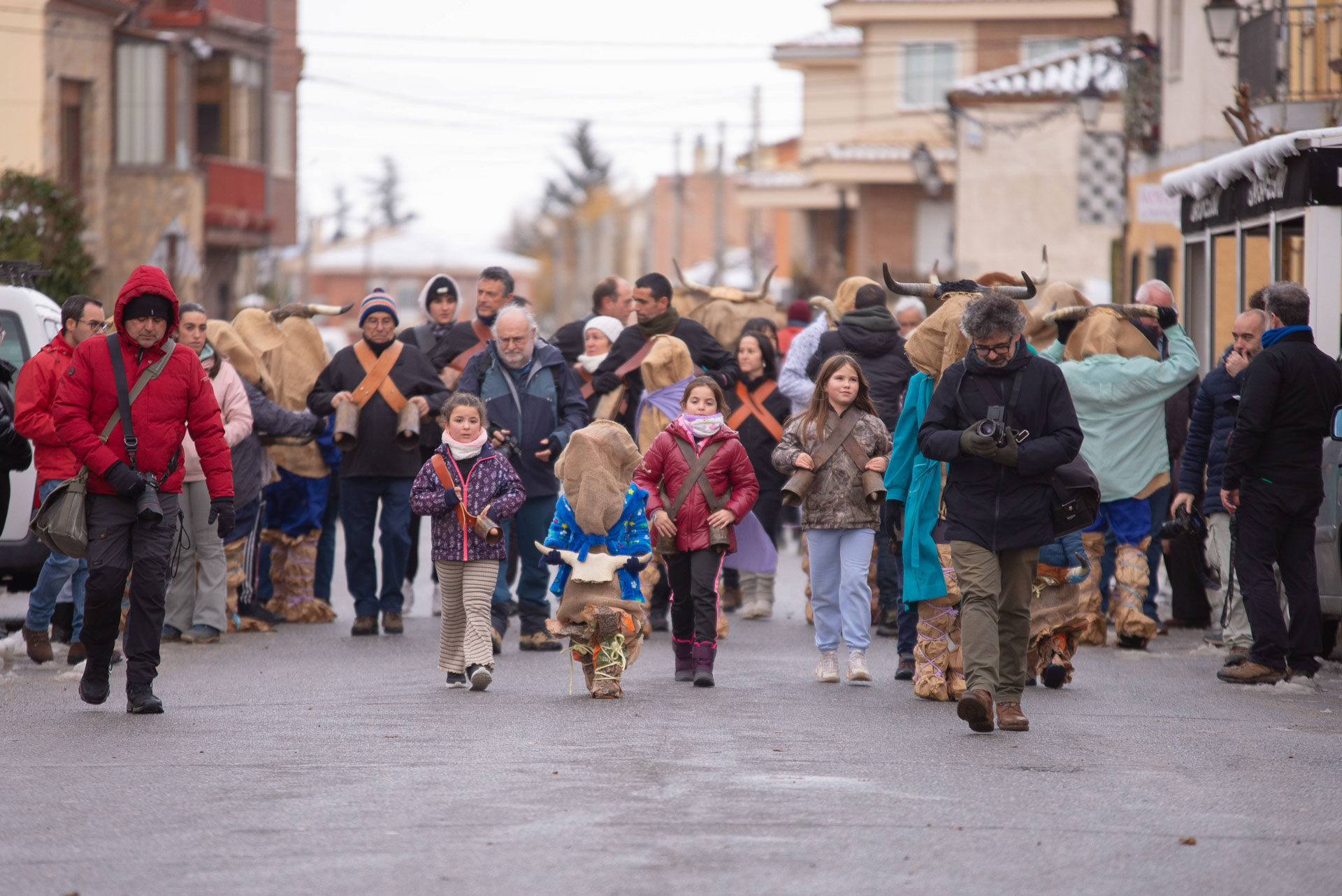 Toras de El Fresno durante la fiesta de San Antón en Ávila